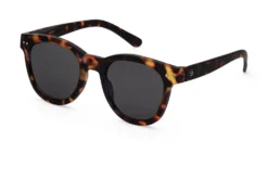 #N SUN Tortoise +0.00