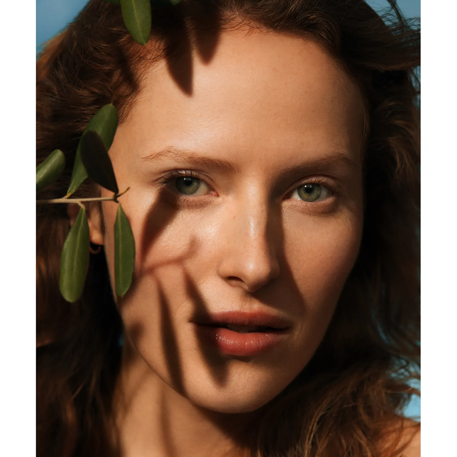 Olive Hydrating Eye Cream With Penta Phyto Complex