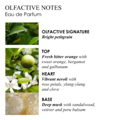 Orange & Bergamot
