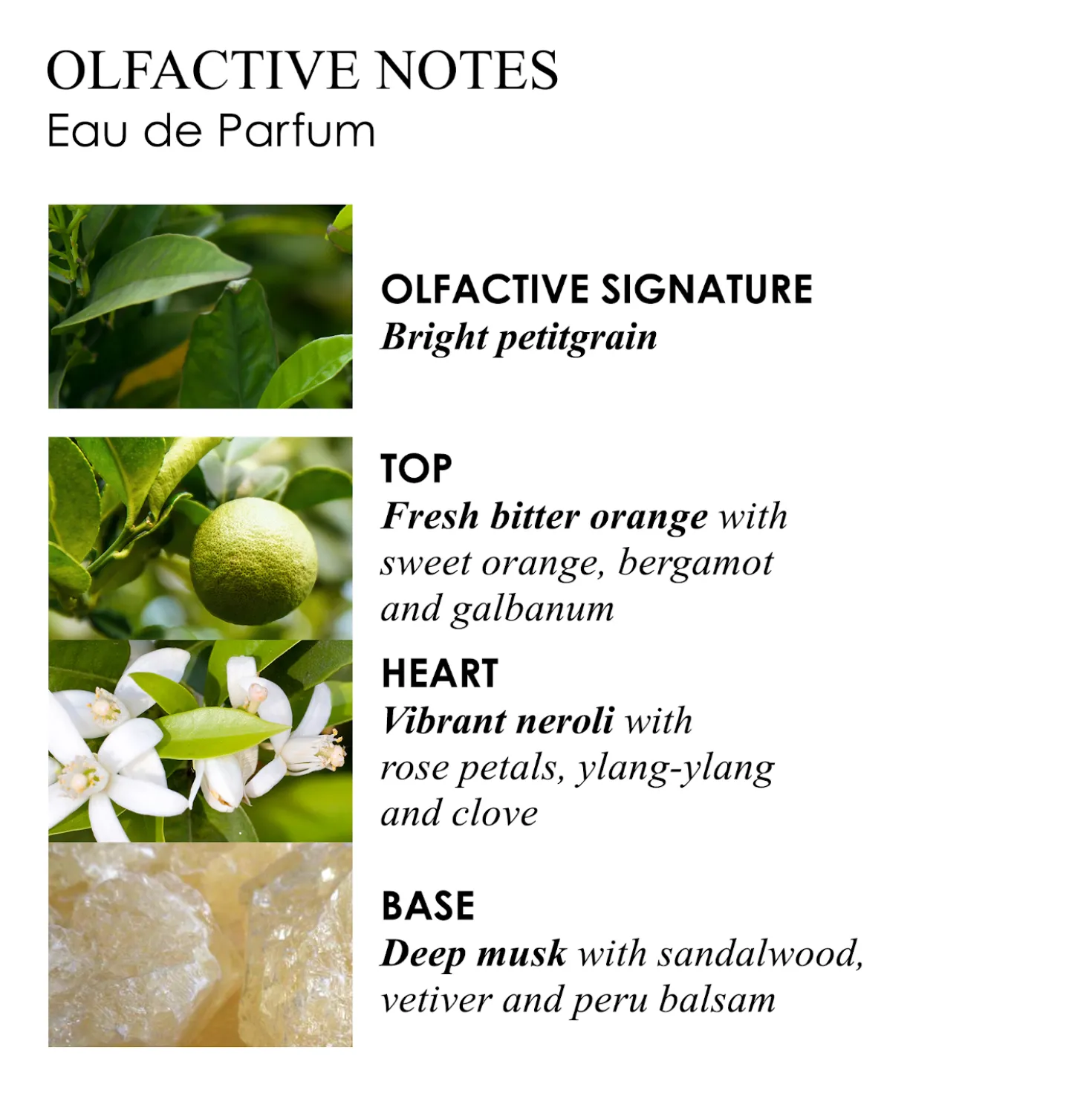 Orange & Bergamot