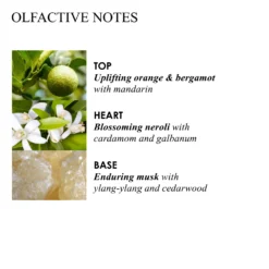 Orange & Bergamot Aroma Reeds Refill