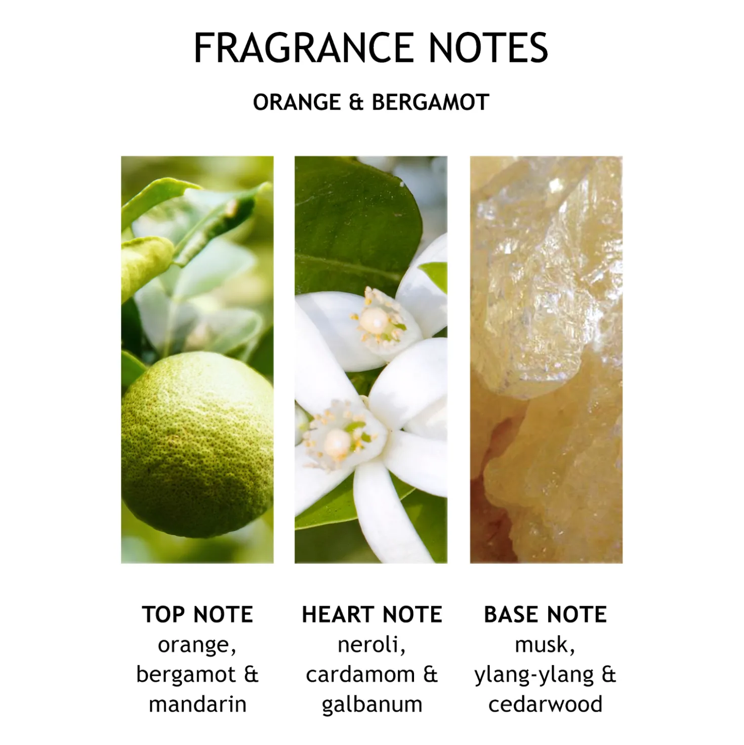 Orange & Bergamot Hand Lotion