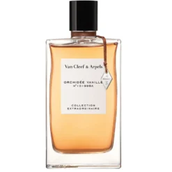 Orchidée Vanille