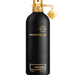 Oudyssee