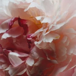 Peony & Blush Suede Mini Room Spray
