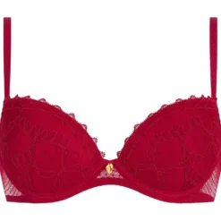 Push-UP BH Mystery of Love