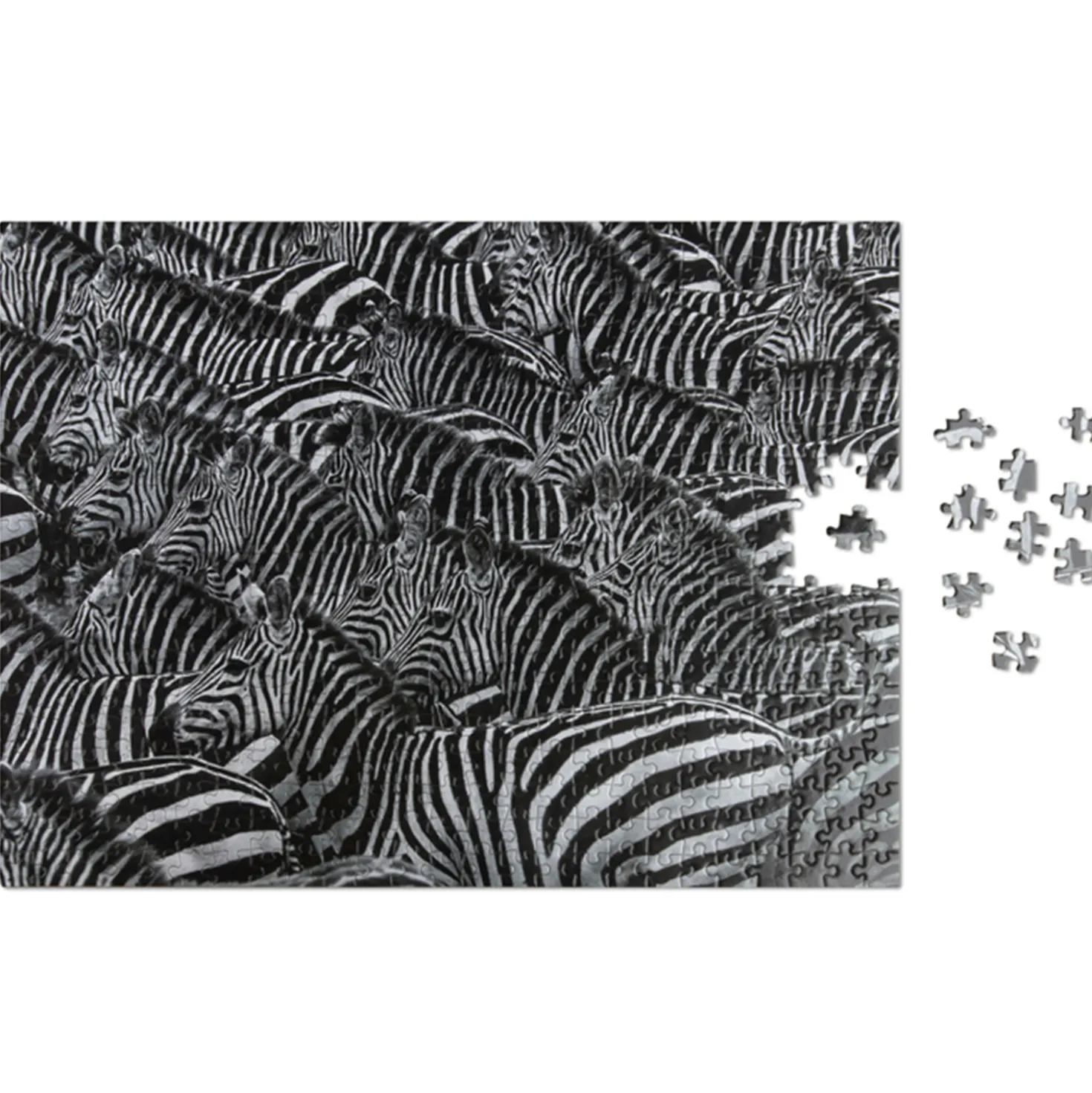 Puzzle Zebra 500 Teile