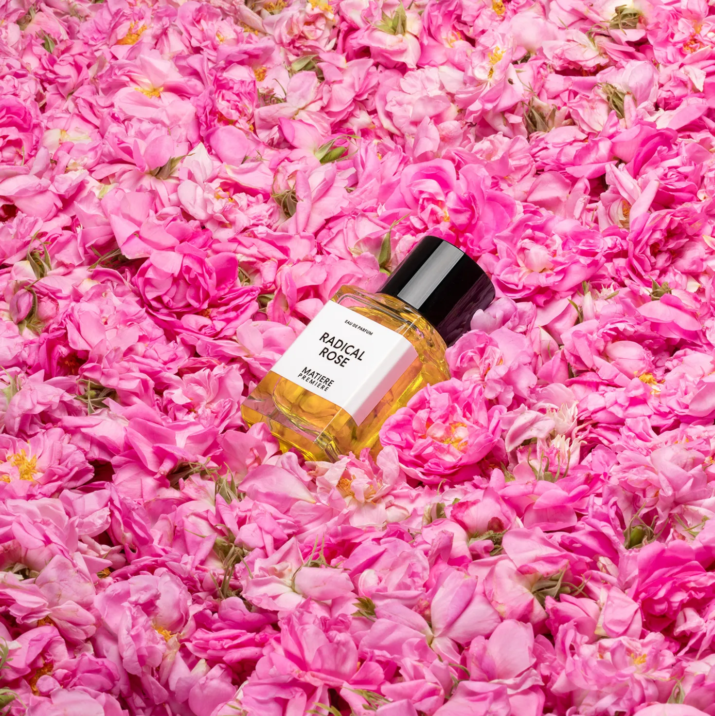 Radical Rose Eau de Parfum