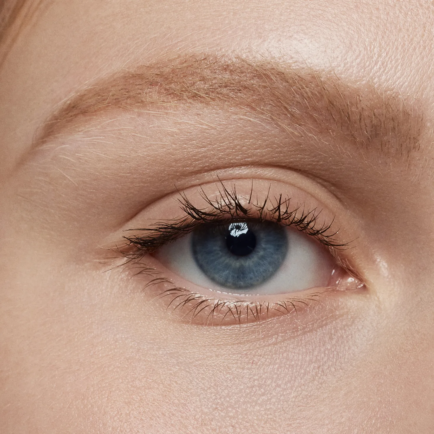 3 Refills Set All-In-One Brow Pencil Sepia
