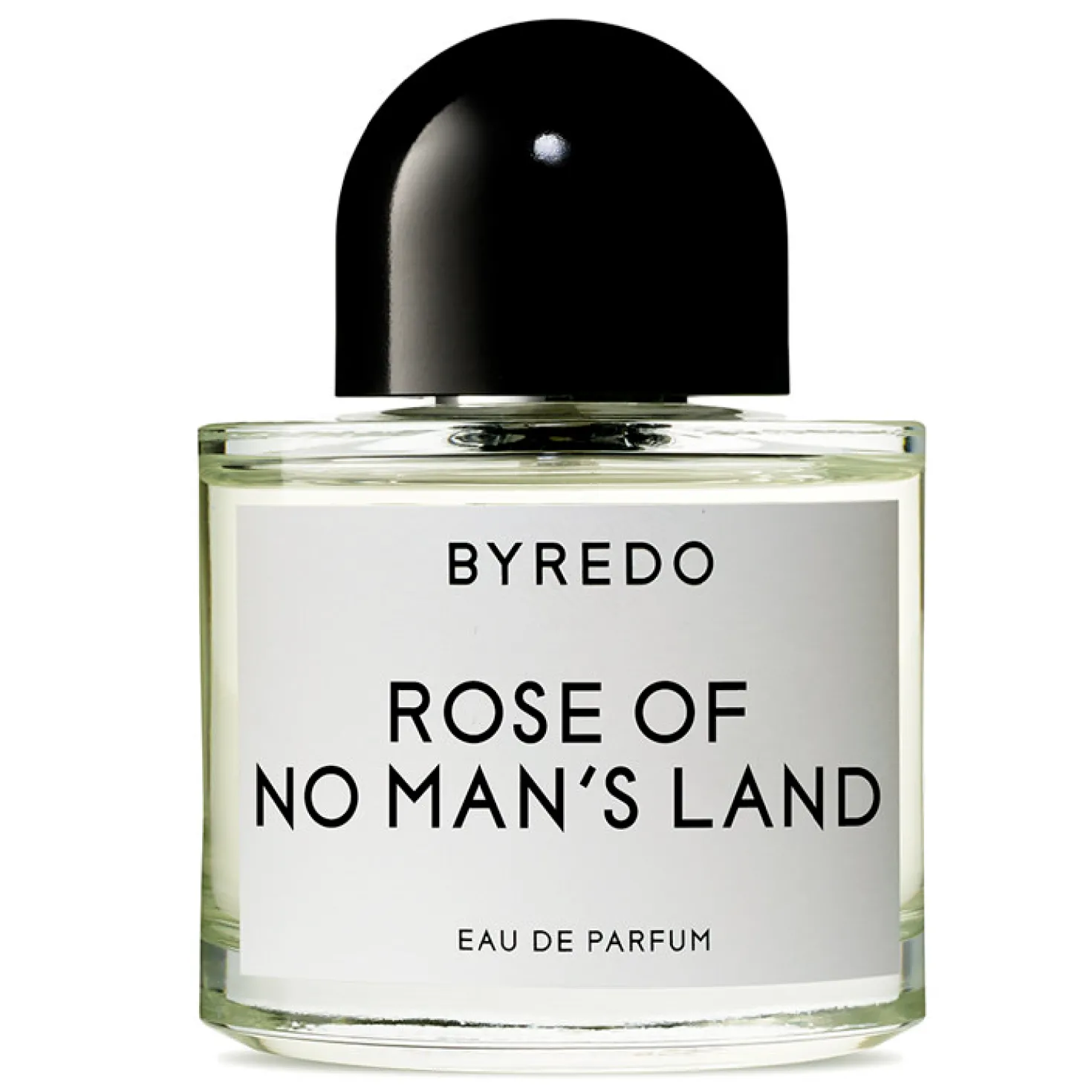 Rose of No Mans Land