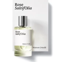 Rose Saltifolia