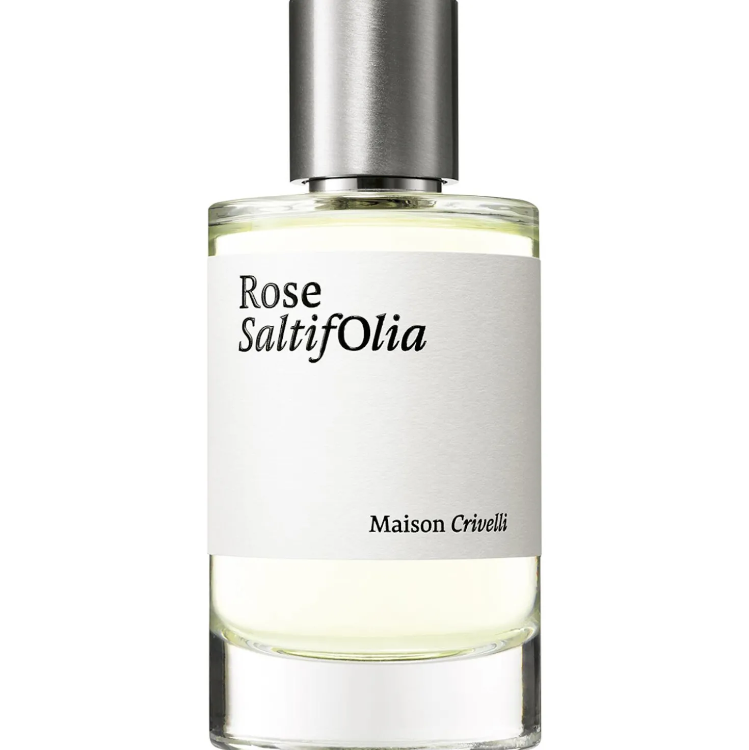 Rose Saltifolia