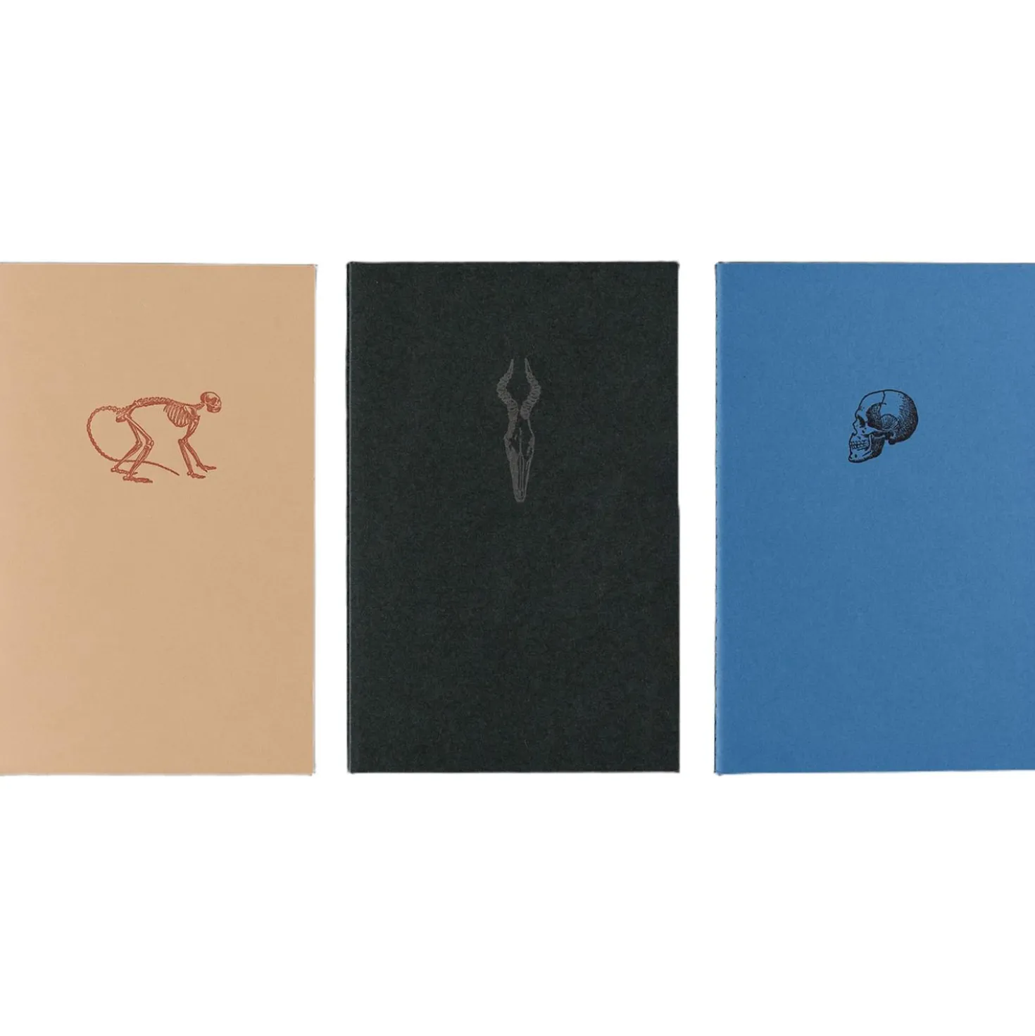 3 Soft Cover Notebooks