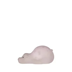 Sternenprojektor Björn