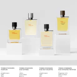 Terre d’Hermès Eau Givrée, Eau de Parfum