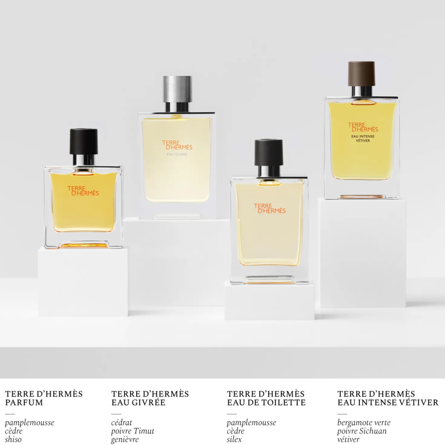 Terre d’Hermès Eau Givrée, Eau de Parfum