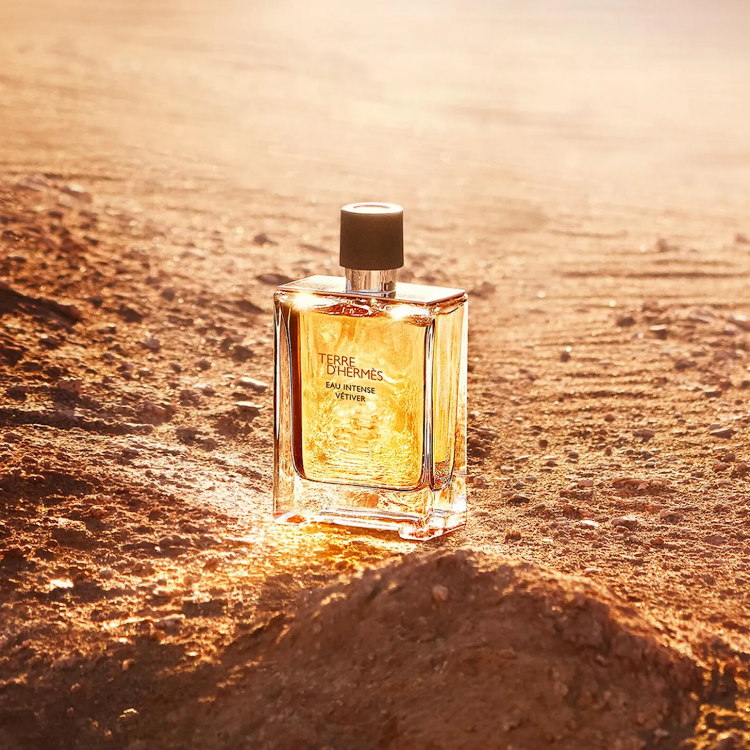 Terre d'Hermès Eau Intense Vétiver Eau de Parfum Spray