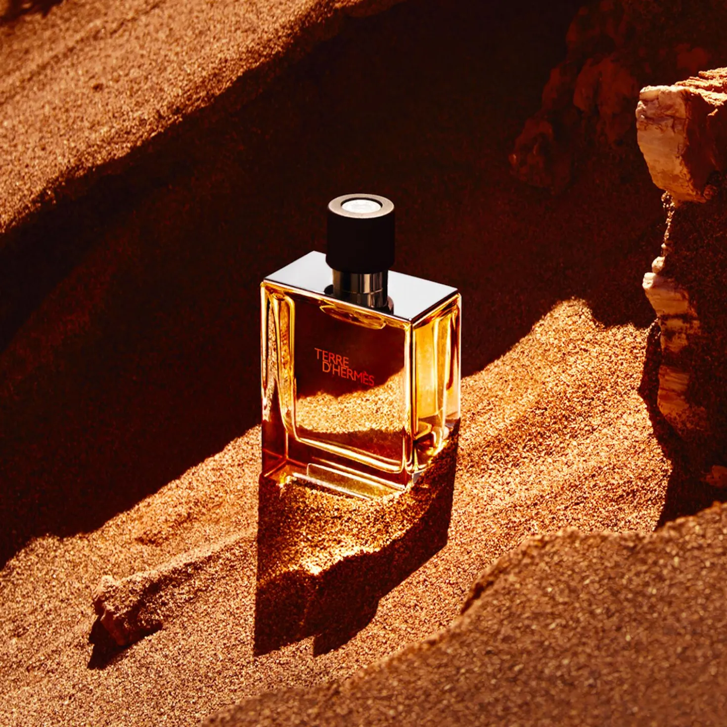 Terre d'Hermès Parfum Spray