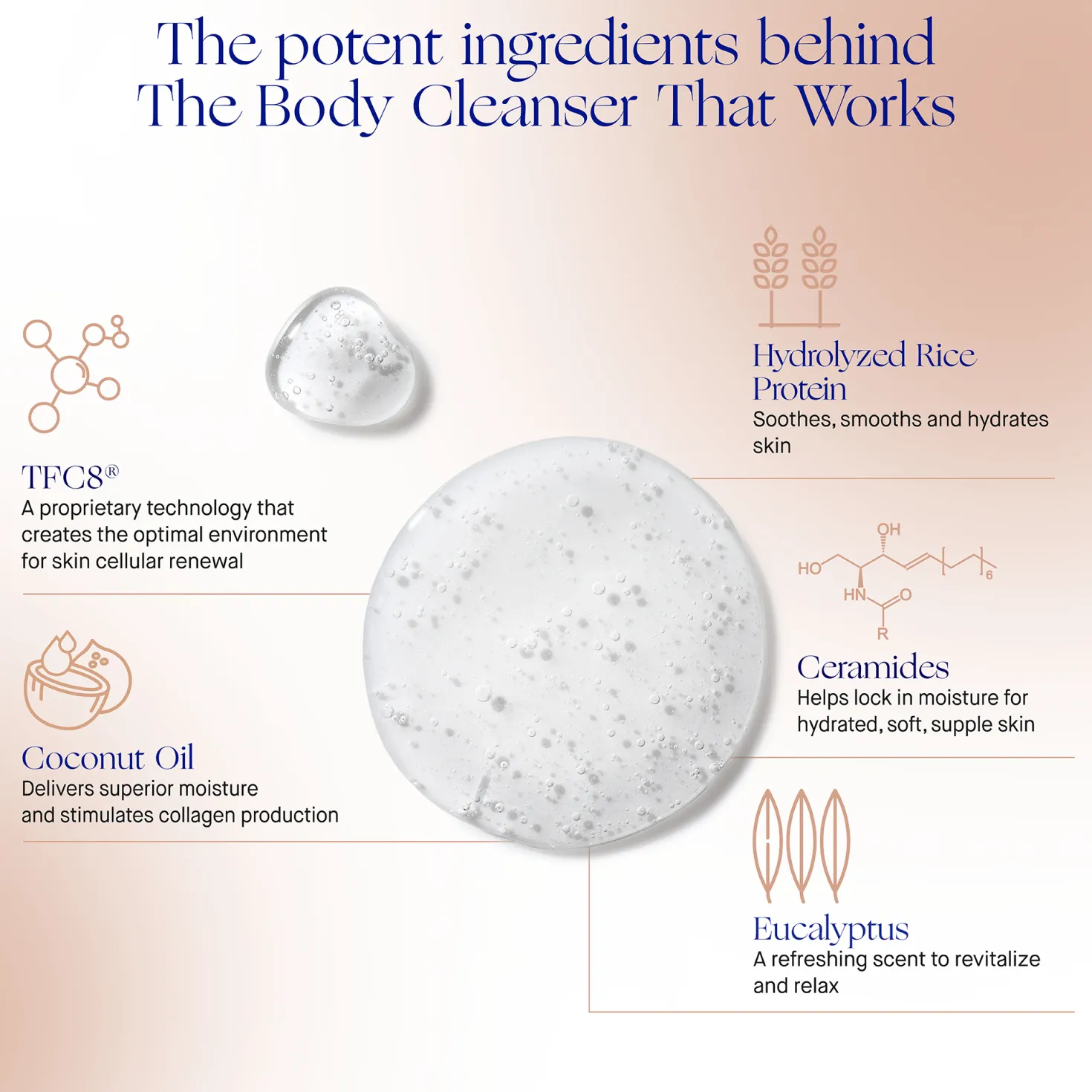 The Body Cleanser
