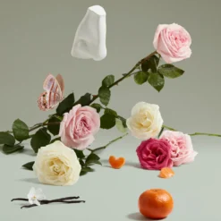 The Coveted Duchess Rose Eau de Parfum Spray