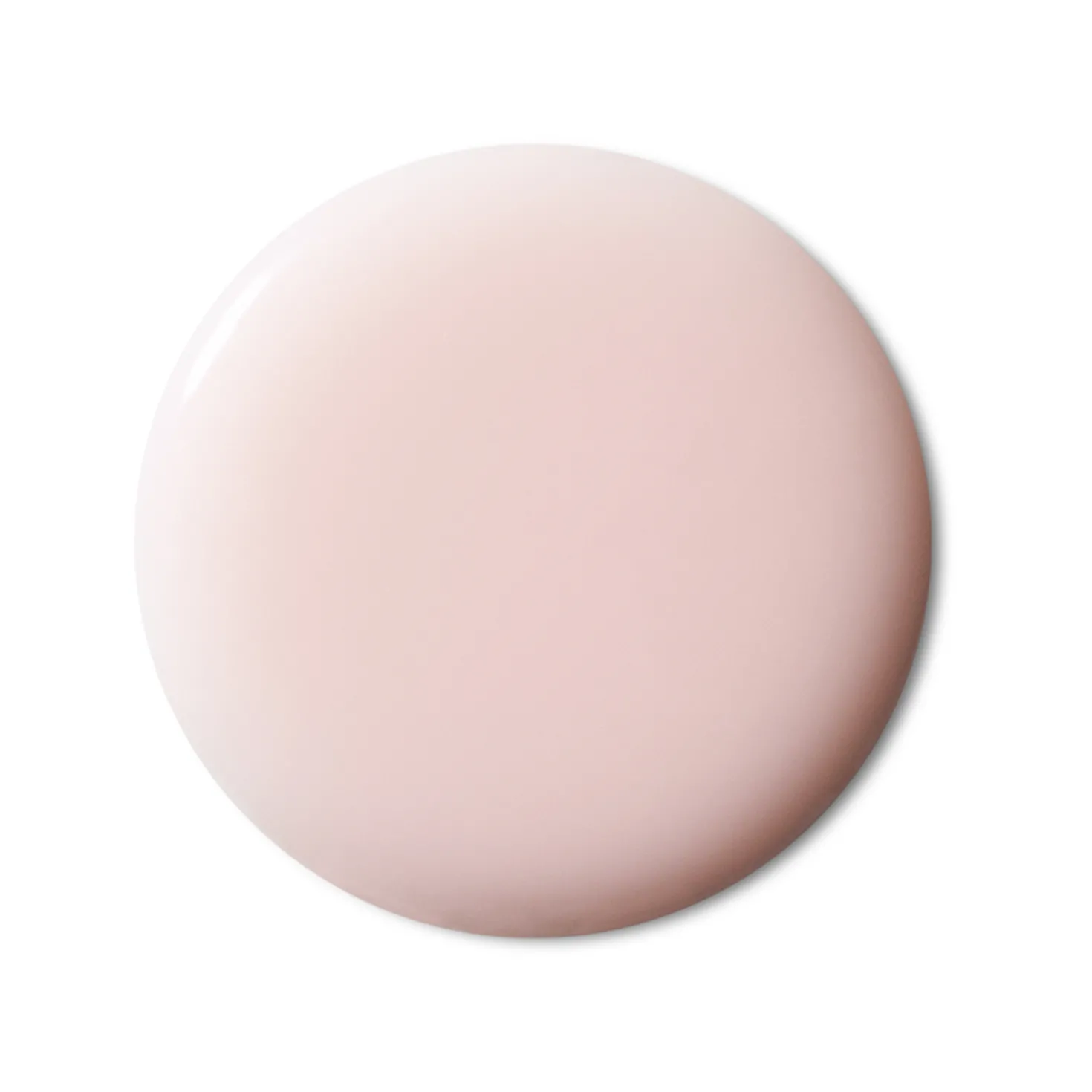 The Infused Lotion
