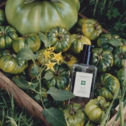 Tomato Leaf Hand Wash