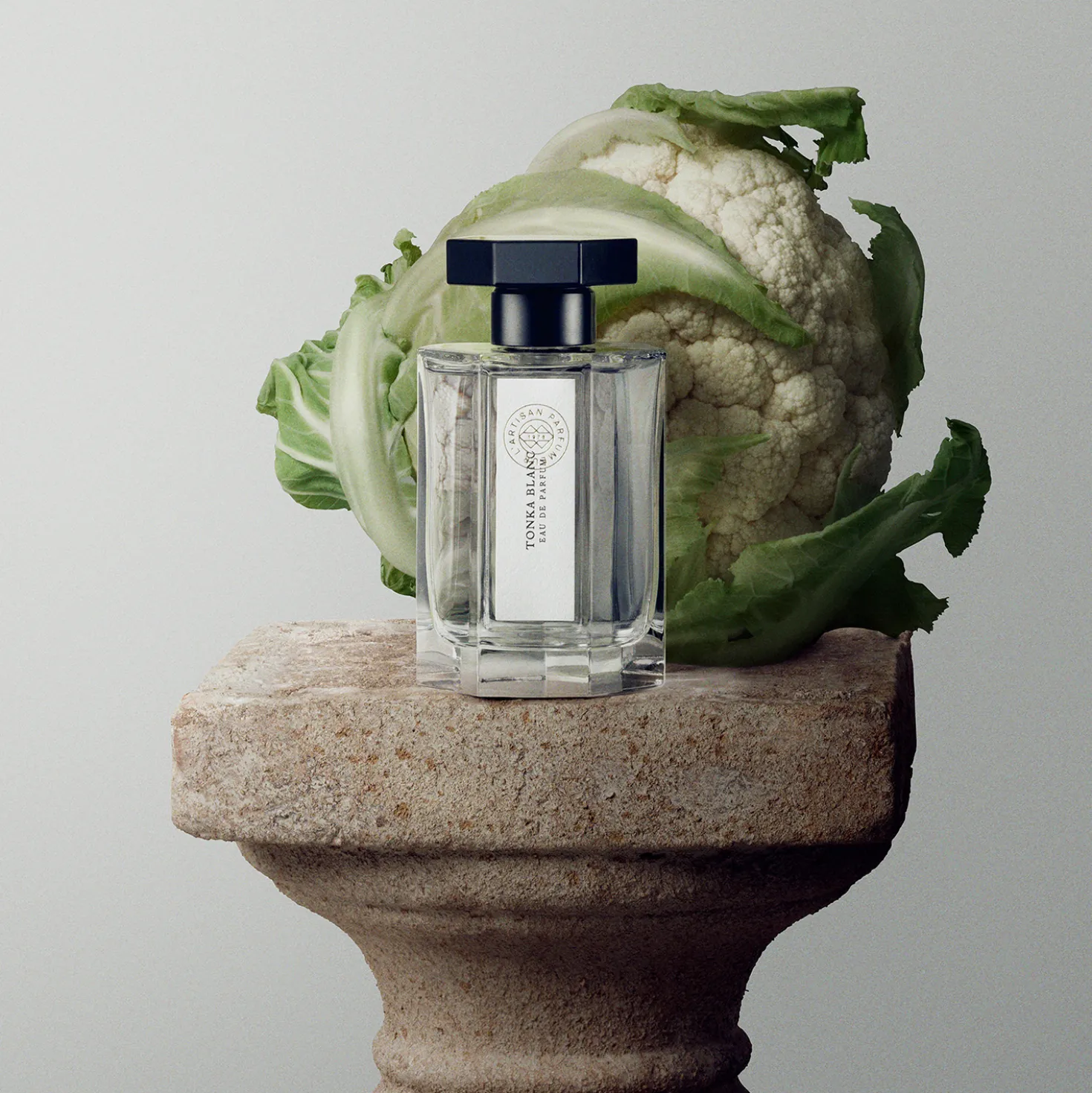 Tonka Blance Eau de Parfum