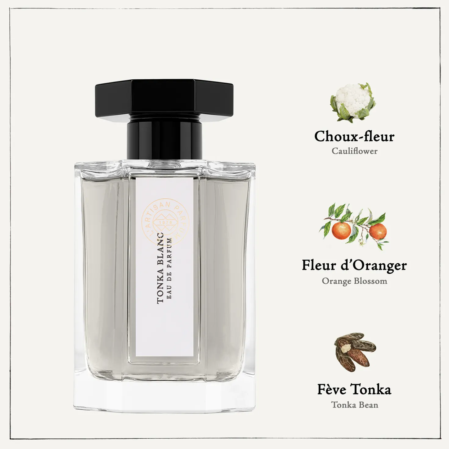 Tonka Blance Eau de Parfum