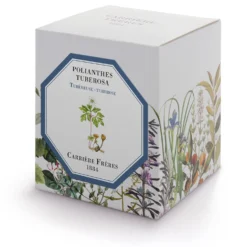 Tuberose
