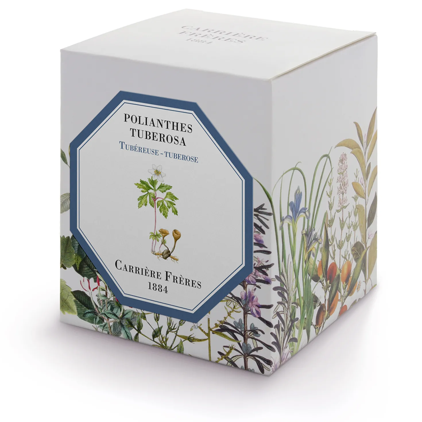 Tuberose