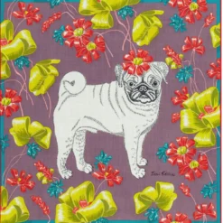 Tuch Toutou