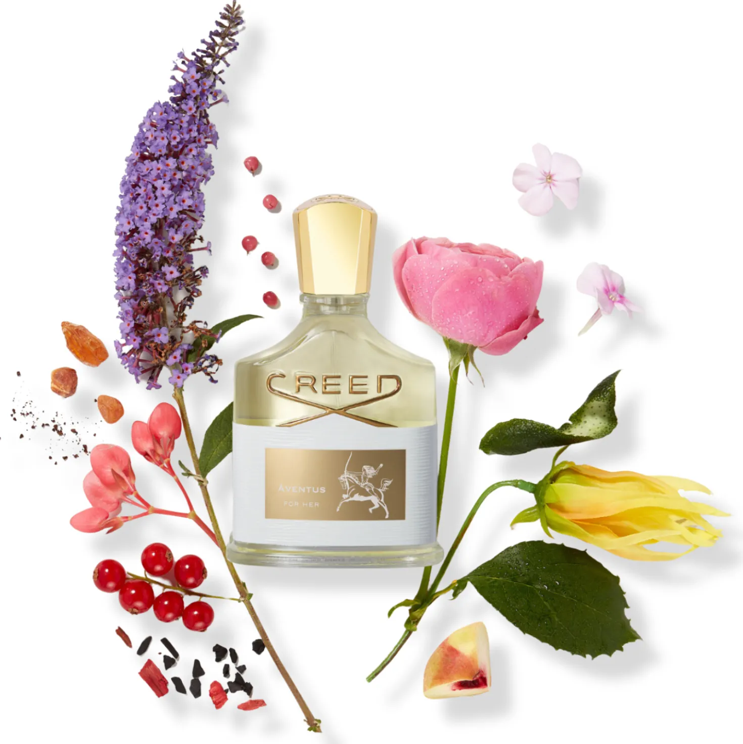 Vanilla Powder Eau de Parfum