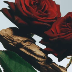 Velvet Rose & Oud All Over Body Spray
