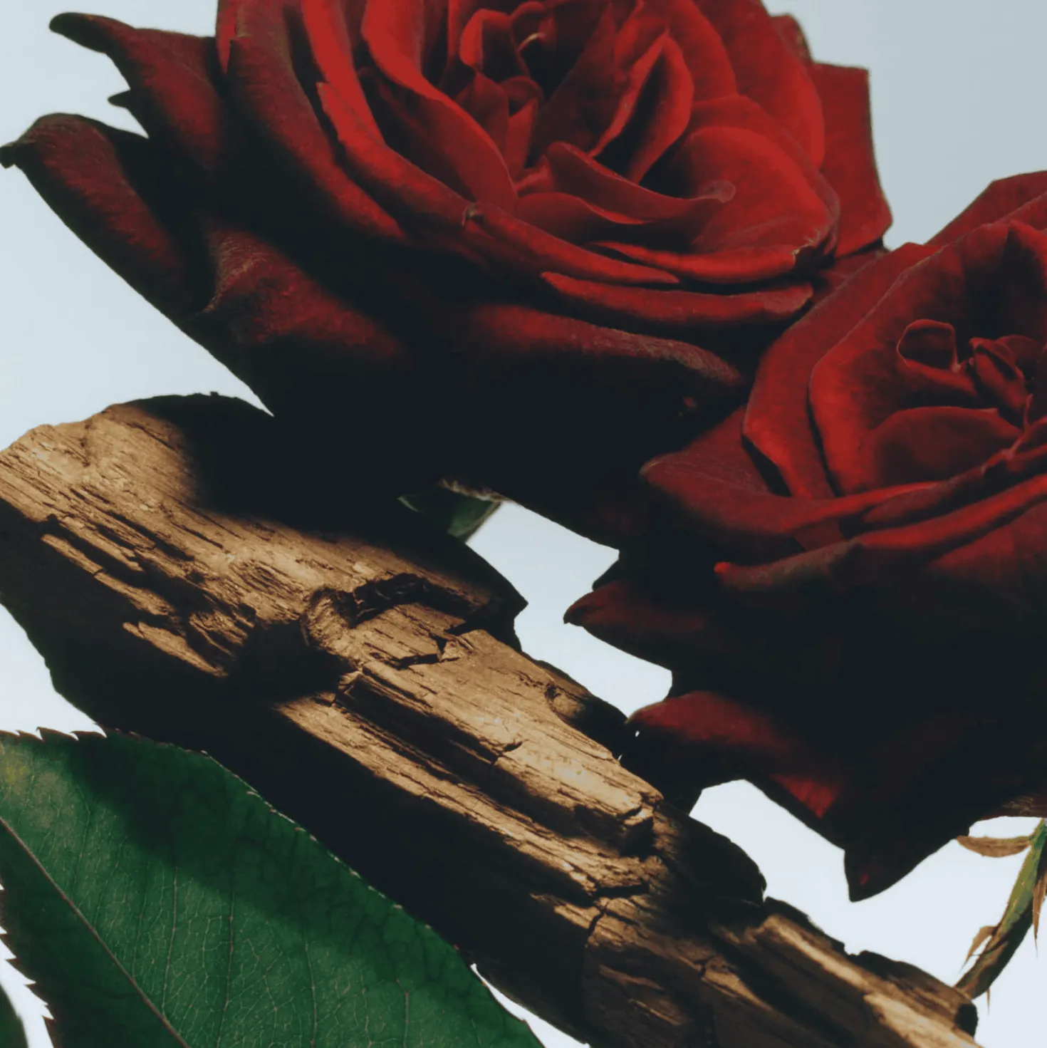 Velvet Rose & Oud All Over Body Spray