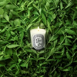 Verveine Classic candle 190g/6.7oz