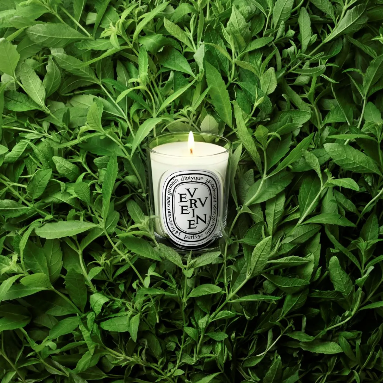 Verveine Classic candle 190g/6.7oz