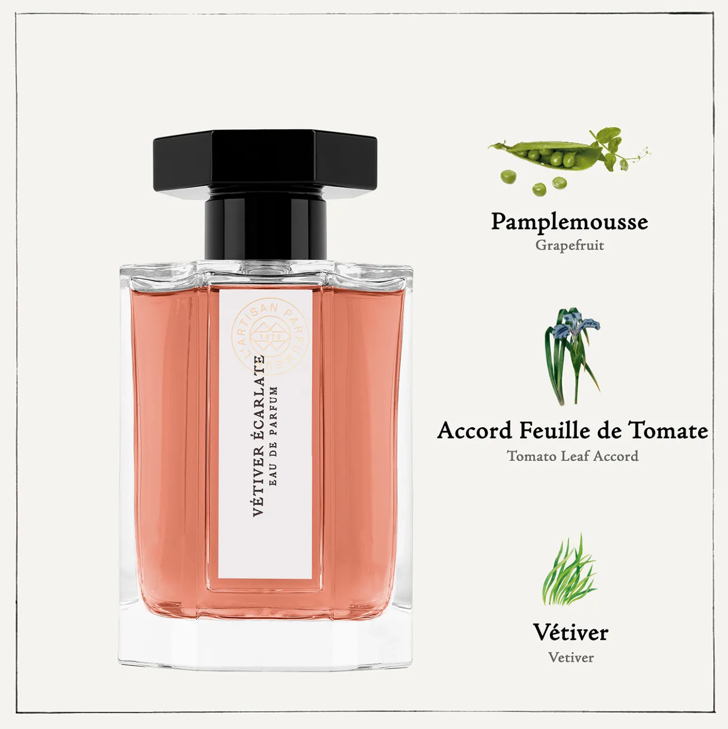 Vetiver Ecarlate Eau de Cologne