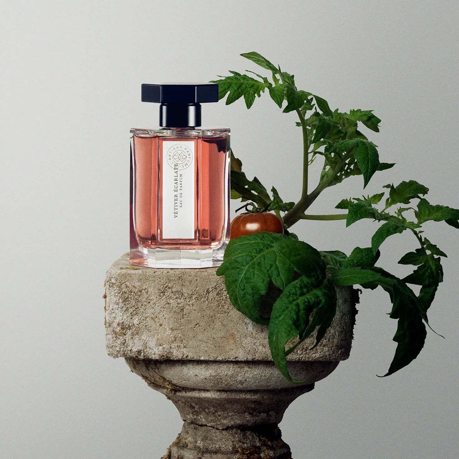 Vetiver Ecarlate Eau de Cologne