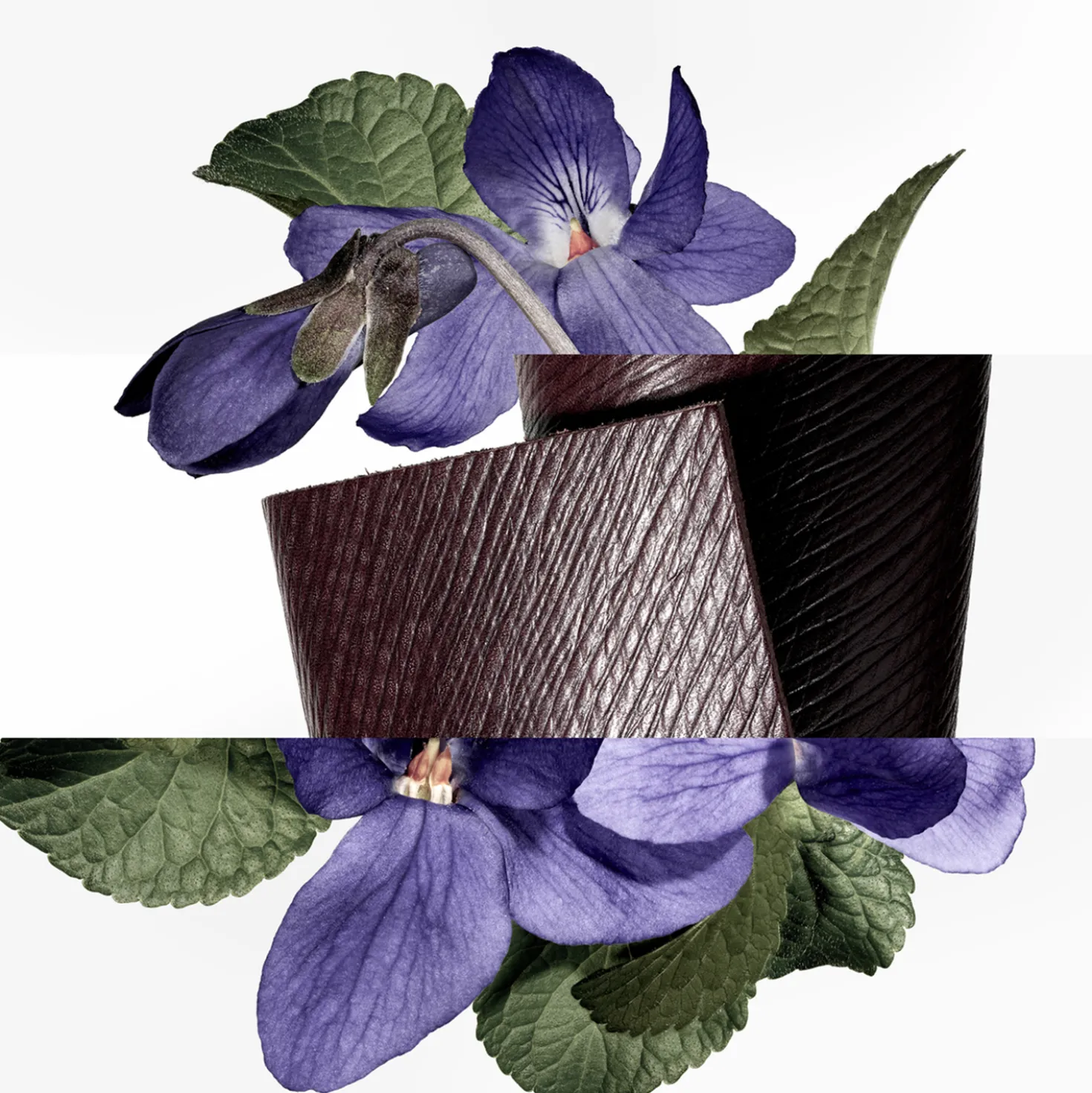 Violette Volynka, Eau de Toilette